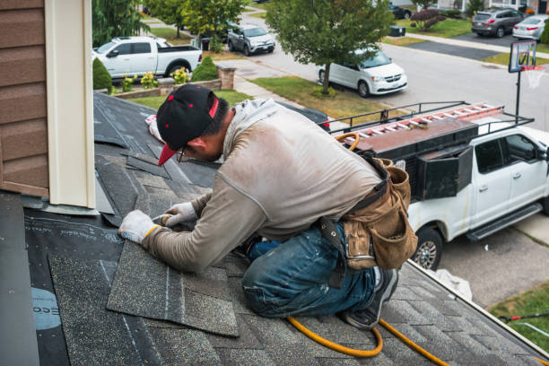 Professional Storm Damage Roof Repair technician working in Alberta, VA